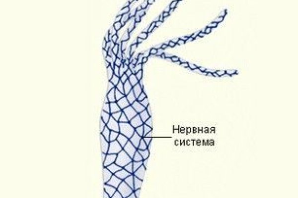 Мега ссылка megadarknet help