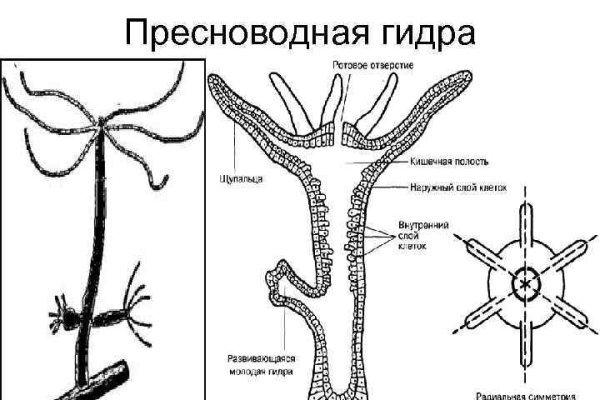 Mega актуальная ссылка